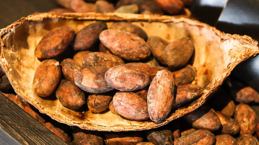 La Fda Annuncia l'indicazione sulla Salute Qualificata per i Flavanoli del Cacao